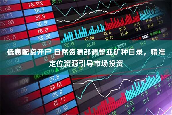 低息配资开户 自然资源部调整亚矿种目录，精准定位资源引导市场投资