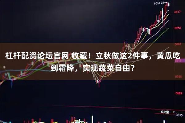 杠杆配资论坛官网 收藏！立秋做这2件事，黄瓜吃到霜降，实现蔬菜自由？