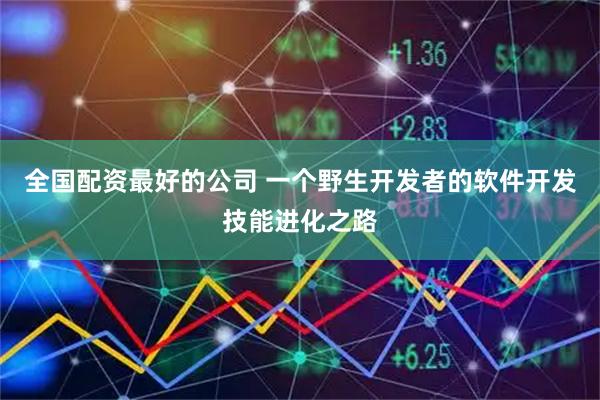 全国配资最好的公司 一个野生开发者的软件开发技能进化之路